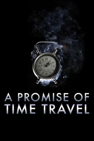 A Promise of Time Travel 2016 Dual Audio | Dubbed Hindi Movie Web-DL [750MB]