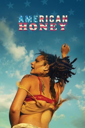 American Honey (2016) Dual Audio | Dubbed Hindi Movie BluRay 500MB