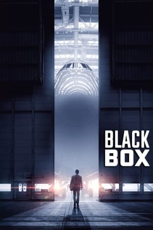Boxed 2021 Movie | Dubbed Hindi Movie HDRip x264 [890MB]