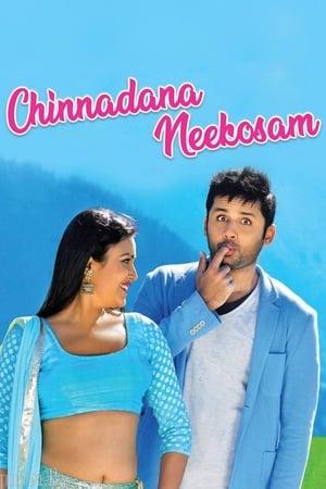 Chinnadana Nee Kosam 2014 Dual Audio | Dubbed Hindi Movie BluRay [1.5GB]