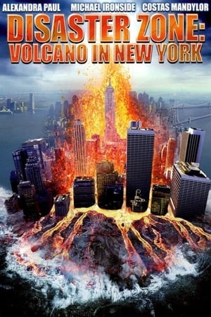 Disaster Zone Volcano in New York 2006 Dual Audio | Dubbed Hindi Movie HDRip 300MB