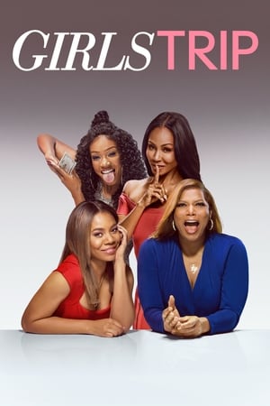 Girls Trip (2017) Dual Audio | Dubbed Hindi Movie BluRay [1GB]