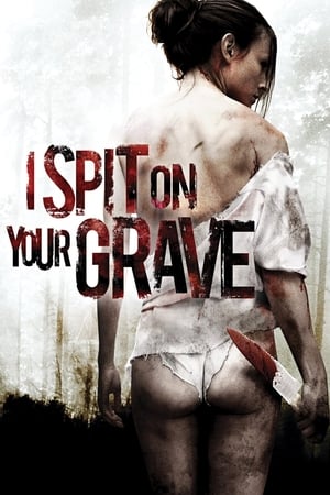 I Spit on Your Grave 2010 Dual Audio | Dubbed Hindi Movie BluRay 330MB