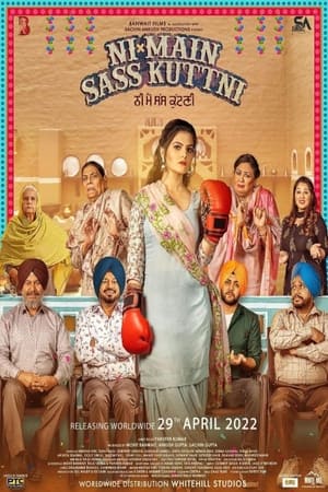 Ni Main Sass Kuttni 2022 Punjabi Audio WEB-DL | Dubbed Hindi Movie – 480p
