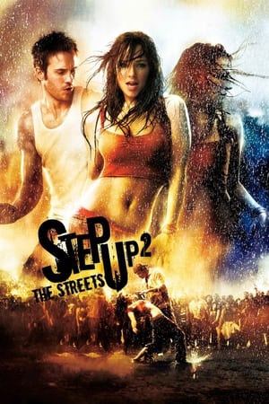 Step Up 2 The Streets 2008 Dual Audio | Dubbed Hindi Movie BluRay [700MB]