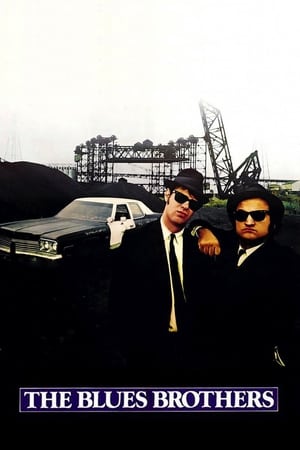 The Blues Brothers (1980) Dual Audio Movie | Dubbed Hindi Movie BluRay - 1.2GB