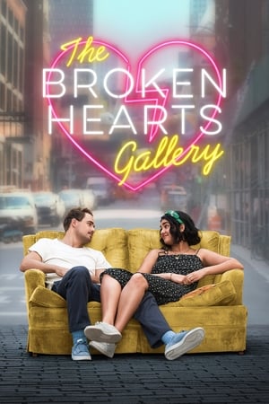 The Broken Hearts Gallery (2020) Dual Audio | Dubbed Hindi Movie Web-DL 340MB