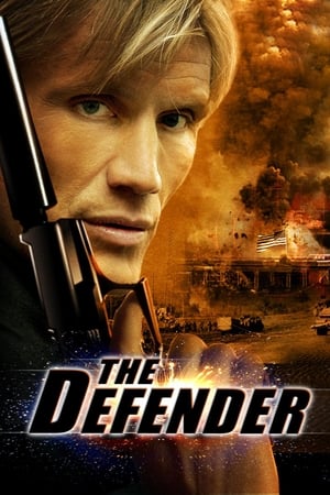 The Defender (2004) Dual Audio | Dubbed Hindi Movie BluRay 300MB