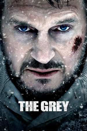The Grey 2011 Dual Audio | Dubbed Hindi Movie BluRay 360MB