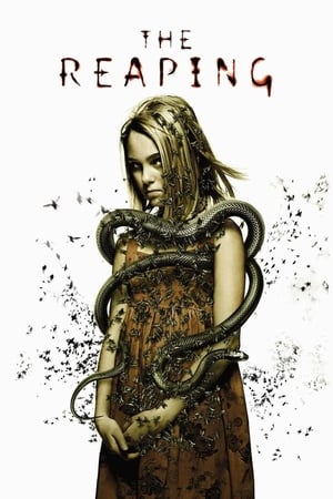 The Reaping (2007) Dual Audio | Dubbed Hindi Movie BluRay [700MB]
