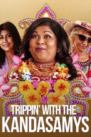 Trippin with the Kandasamys 2021 Dual Audio | Dubbed Hindi Movie Web-DL [850MB]
